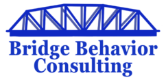 Bridge Behavior Consulting 